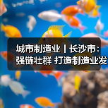 城市制造业丨长沙市：强链壮群 打造制造业发展新高地（图1）