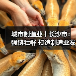 城市制造业丨长沙市：强链壮群 打造制造业发展新高地（图4）