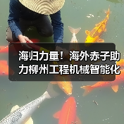 海归力量!海外赤子助力柳州工程机械智能化建设(图2) 海归力量!海外赤子助力柳州工程机械智能化建设(图2)