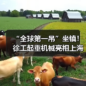 “全球第一吊”坐镇!徐工起重机械亮相上海宝马展(图2) “全球第一吊”坐镇!徐工起重机械亮相上海宝马展(图2)