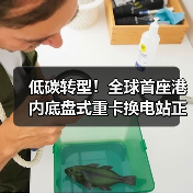 低碳转型！全球首座港内底盘式重卡换电站正式启用（图2）