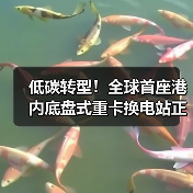 低碳转型！全球首座港内底盘式重卡换电站正式启用（图1）