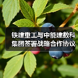 铁建重工与中能建数科集团签署战略合作协议(图1) 铁建重工与中能建数科集团签署战略合作协议(图1)