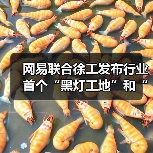 网易联合徐工发布行业首个“黑灯工地”和“牧羊人”模式(图1) 网易联合徐工发布行业首个“黑灯工地”和“牧羊人”模式(图1)