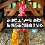 铁建重工与中能建数科集团签署战略合作协议(图3) 铁建重工与中能建数科集团签署战略合作协议(图3)