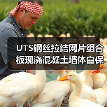 UTS钢丝拉结网片组合板现浇混凝土墙体自保温系统标准发布（图4）