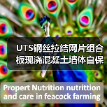 UTS钢丝拉结网片组合板现浇混凝土墙体自保温系统标准发布（图2）