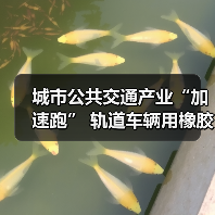 城市公共交通产业“加速跑” 轨道车辆用橡胶弹性元件守护安全(图3) 城市公共交通产业“加速跑” 轨道车辆用橡胶弹性元件守护安全(图3)
