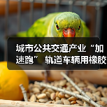 城市公共交通产业“加速跑” 轨道车辆用橡胶弹性元件守护安全(图1) 城市公共交通产业“加速跑” 轨道车辆用橡胶弹性元件守护安全(图1)