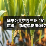 城市公共交通产业“加速跑” 轨道车辆用橡胶弹性元件守护安全(图4) 城市公共交通产业“加速跑” 轨道车辆用橡胶弹性元件守护安全(图4)