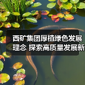 西矿集团厚植绿色发展理念 探索高质量发展新路经(图3) 西矿集团厚植绿色发展理念 探索高质量发展新路经(图3)