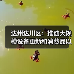 达州达川区：推动大规模设备更新和消费品以旧换新（图1）