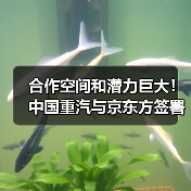 合作空间和潜力巨大！中国重汽与京东方签署战略合作协议（图1）