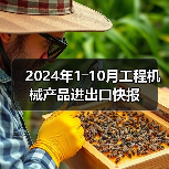 2024年1―10月工程机械产品进出口快报（图3）