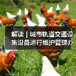 解读 | 城市轨道交通设施设备运行维护管理办法(图1) 解读 | 城市轨道交通设施设备运行维护管理办法(图1)