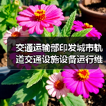 交通运输部印发城市轨道交通设施设备运行维护管理办法(图3) 交通运输部印发城市轨道交通设施设备运行维护管理办法(图3)