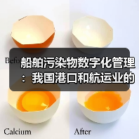 船舶污染物数字化管理:我国港口和航运业的“绿色革命”(图1) 船舶污染物数字化管理:我国港口和航运业的“绿色革命”(图1)