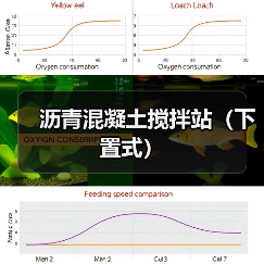 沥青混凝土搅拌站（下置式）（图3）