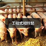 工程式搅拌站（图2）