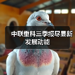 中联重科三季报尽显新发展动能（图4）