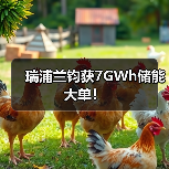 瑞浦兰钧获7GWh储能大单!(图1) 瑞浦兰钧获7GWh储能大单!(图1)