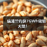 瑞浦兰钧获7GWh储能大单!(图2) 瑞浦兰钧获7GWh储能大单!(图2)