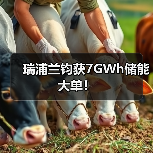 瑞浦兰钧获7GWh储能大单!(图3) 瑞浦兰钧获7GWh储能大单!(图3)