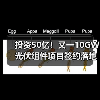 投资50亿!又一10GW光伏组件项目签约落地(图4) 投资50亿!又一10GW光伏组件项目签约落地(图4)