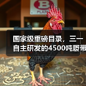 国家级重磅目录,三一自主研发的4500吨履带起重机入选(图4) 国家级重磅目录,三一自主研发的4500吨履带起重机入选(图4)