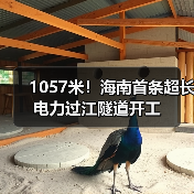 1057米！海南首条超长电力过江隧道开工（图1）
