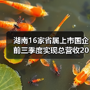湖南16家省属上市国企前三季度实现总营收2012亿元(图3) 湖南16家省属上市国企前三季度实现总营收2012亿元(图3)