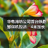 华电潍坊公司首台铁路卸煤机投运:4米加长支架腿(图2) 华电潍坊公司首台铁路卸煤机投运:4米加长支架腿(图2)