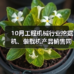 10月工程机械行业挖掘机、装载机产品销售同比增长(图2) 10月工程机械行业挖掘机、装载机产品销售同比增长(图2)