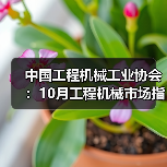 中国工程机械工业协会:10月工程机械市场指数快报(图3) 中国工程机械工业协会:10月工程机械市场指数快报(图3)