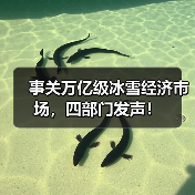 事关万亿级冰雪经济市场,四部门发声!(图1) 事关万亿级冰雪经济市场,四部门发声!(图1)