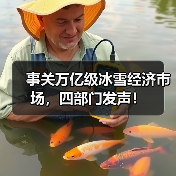 事关万亿级冰雪经济市场,四部门发声!(图3) 事关万亿级冰雪经济市场,四部门发声!(图3)