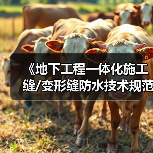 《地下工程一体化施工缝/变形缝防水技术规范》发布（图1）