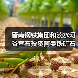 晋南钢铁集团和淡水河谷宣布投资阿曼铁矿石选矿厂(图3) 晋南钢铁集团和淡水河谷宣布投资阿曼铁矿石选矿厂(图3)