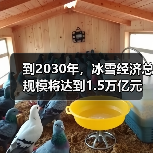 到2030年,冰雪经济总规模将达到1.5万亿元(图3) 到2030年,冰雪经济总规模将达到1.5万亿元(图3)