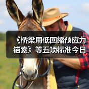 《桥梁用低回缩预应力锚索》等五项标准今日实施（图4）
