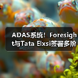 ADAS系统!Foresight与Tata Elxsi签署多阶段合作协议(图1) ADAS系统!Foresight与Tata Elxsi签署多阶段合作协议(图1)