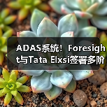 ADAS系统!Foresight与Tata Elxsi签署多阶段合作协议(图3) ADAS系统!Foresight与Tata Elxsi签署多阶段合作协议(图3)