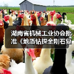 湖南省机械工业协会批准《地质钻探金刚石复合片钻头》立项（图1）