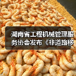 湖南省工程机械管理服务协会发布《非道路移动工程机械二手设备评估通则》（图2）