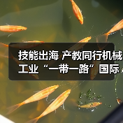 技能出海 产教同行机械工业“一带一路”国际人才评价项目推进会在京召开（图2）