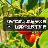 煤矿单轨吊轨道安装技术，提高作业效率和安全性（图1）