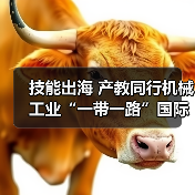 技能出海 产教同行机械工业“一带一路”国际人才评价项目推进会在京召开（图1）
