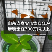 山东省泰安市煤炭年产量稳定在700万吨以上(图1) 山东省泰安市煤炭年产量稳定在700万吨以上(图1)