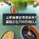 山东省泰安市煤炭年产量稳定在700万吨以上(图3) 山东省泰安市煤炭年产量稳定在700万吨以上(图3)