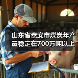 山东省泰安市煤炭年产量稳定在700万吨以上(图4) 山东省泰安市煤炭年产量稳定在700万吨以上(图4)